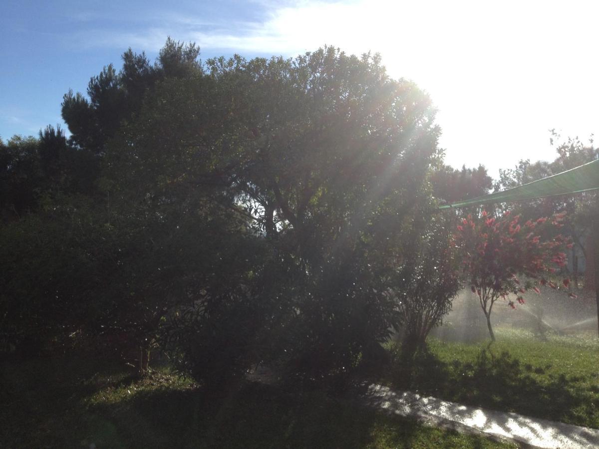 SantʼAnna Arresi La Contea Bed & Breakfast エクステリア 写真