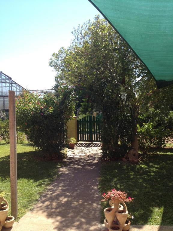 SantʼAnna Arresi La Contea Bed & Breakfast エクステリア 写真