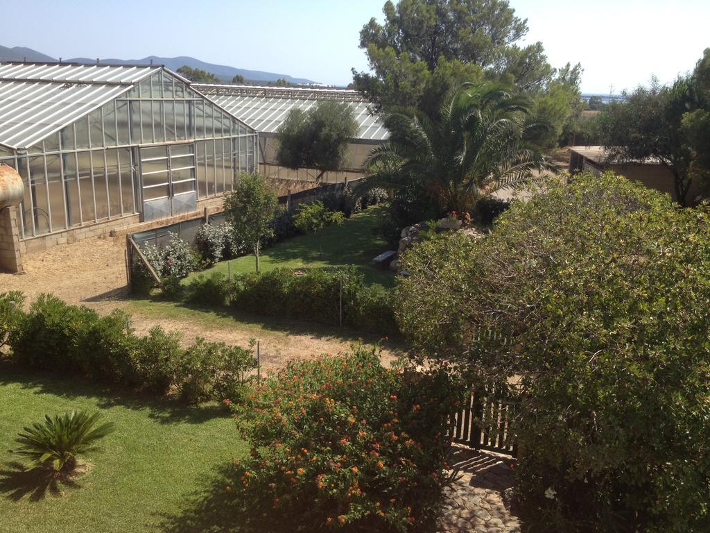 SantʼAnna Arresi La Contea Bed & Breakfast エクステリア 写真