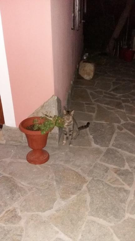 SantʼAnna Arresi La Contea Bed & Breakfast エクステリア 写真