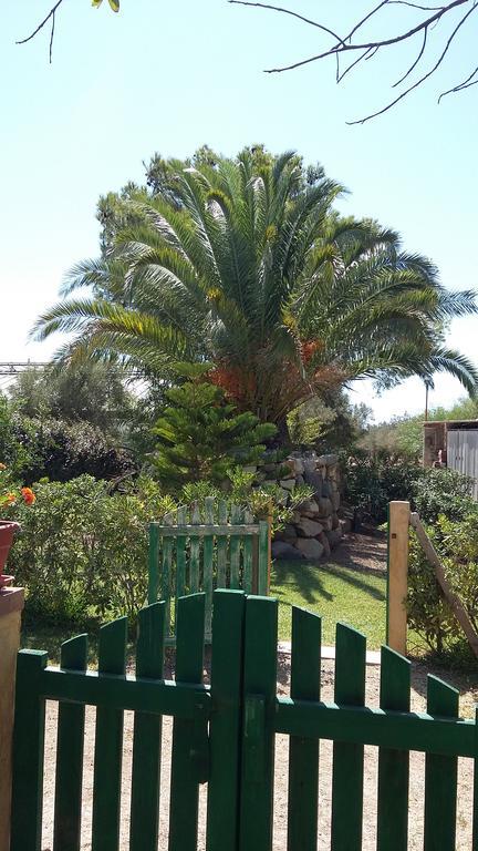 SantʼAnna Arresi La Contea Bed & Breakfast エクステリア 写真