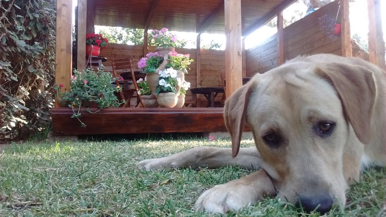 SantʼAnna Arresi La Contea Bed & Breakfast エクステリア 写真