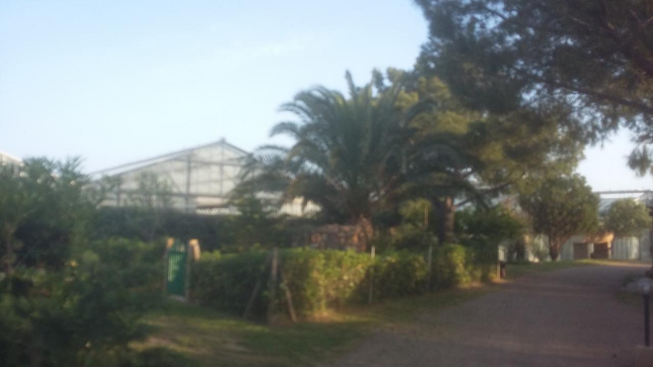SantʼAnna Arresi La Contea Bed & Breakfast エクステリア 写真